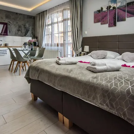 Hotelove Z Biokominkiem Na Skale 卡尔帕奇