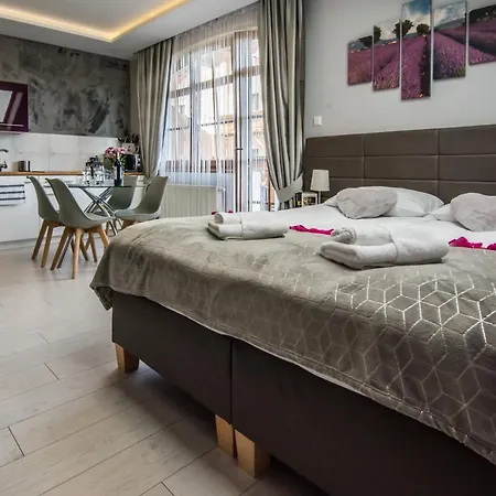 Hotelove Z Biokominkiem Na Skale Apartamento *