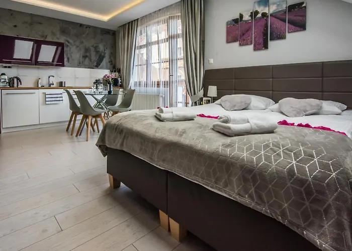 Hotelove Z Biokominkiem Na Skale Apartament *